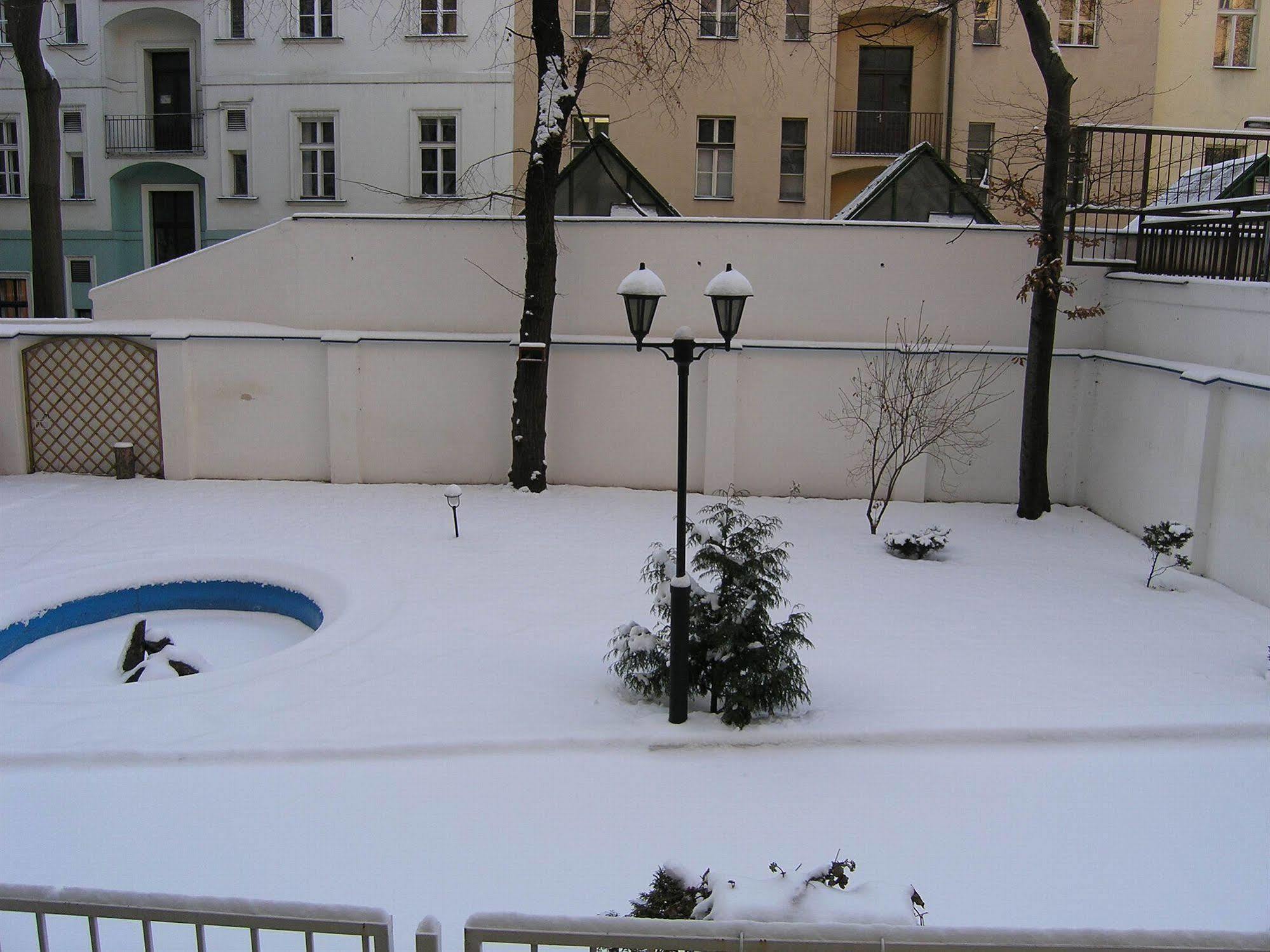 Brezina Prague